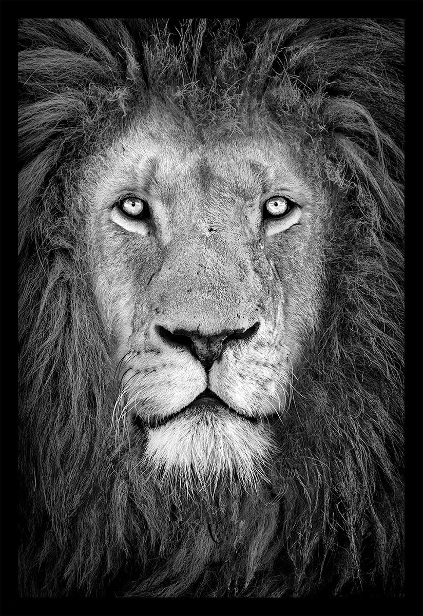 Rabinowitz Photography | Limited Edition Photographs X Adam Rabinowitz