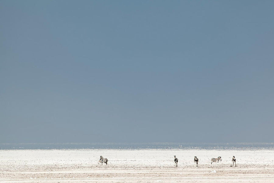 Craig Adam Rabinowitz Rabinowitz Photography | Limited Edition Photographs X Adam Rabinowitz
