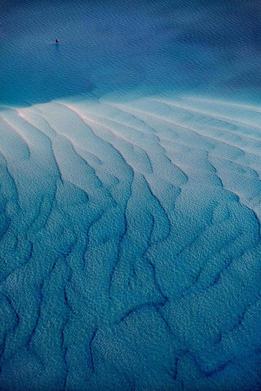 Rabinowitz Photography | Limited Edition Photographs X Adam Rabinowitz