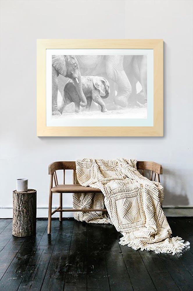 Jungle Book - One of a Kind