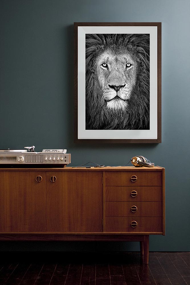 The King - One of a Kind