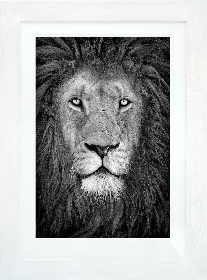 The King - Limited Edition Photograph