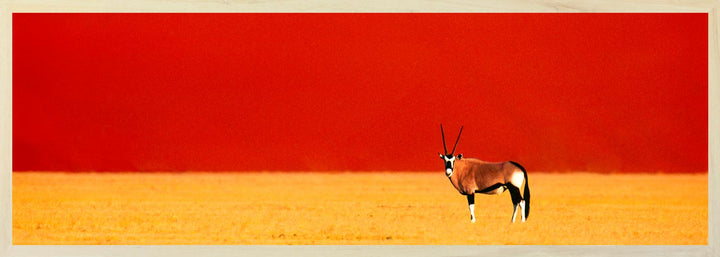 A landscape photograph featuring a red sky, yellow ground, and a single antelope in the foreground.