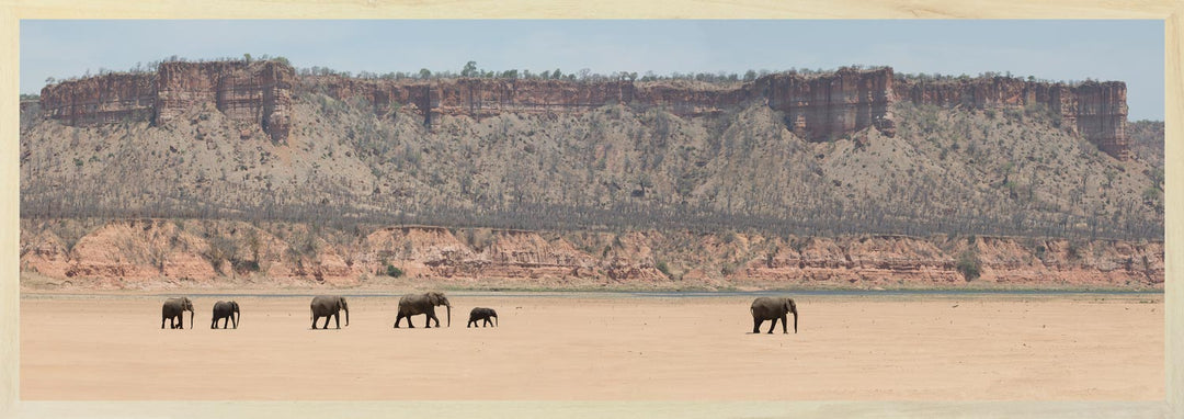 A panoramic photograph featuring red sandstone cliffs in the background with a herd of elephants in the foreground, taken in Zimbabwe's Gonarezhou National Park.