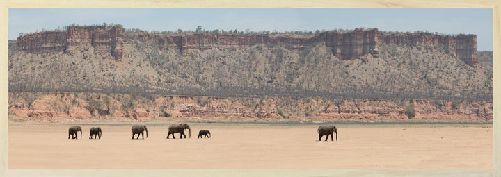 A panoramic photograph featuring red sandstone cliffs in the background with a herd of elephants in the foreground, taken in Zimbabwe's Gonarezhou National Park.
