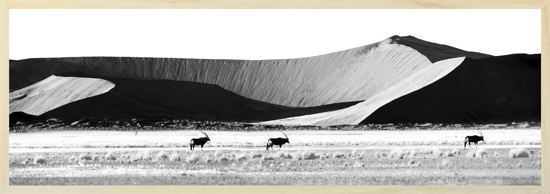 Black and white photograph of sand dunes and oryx in the Namibian desert.