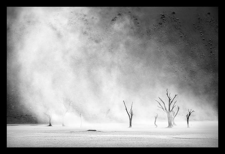 Drama in the Dust - Limited Edition Photograph