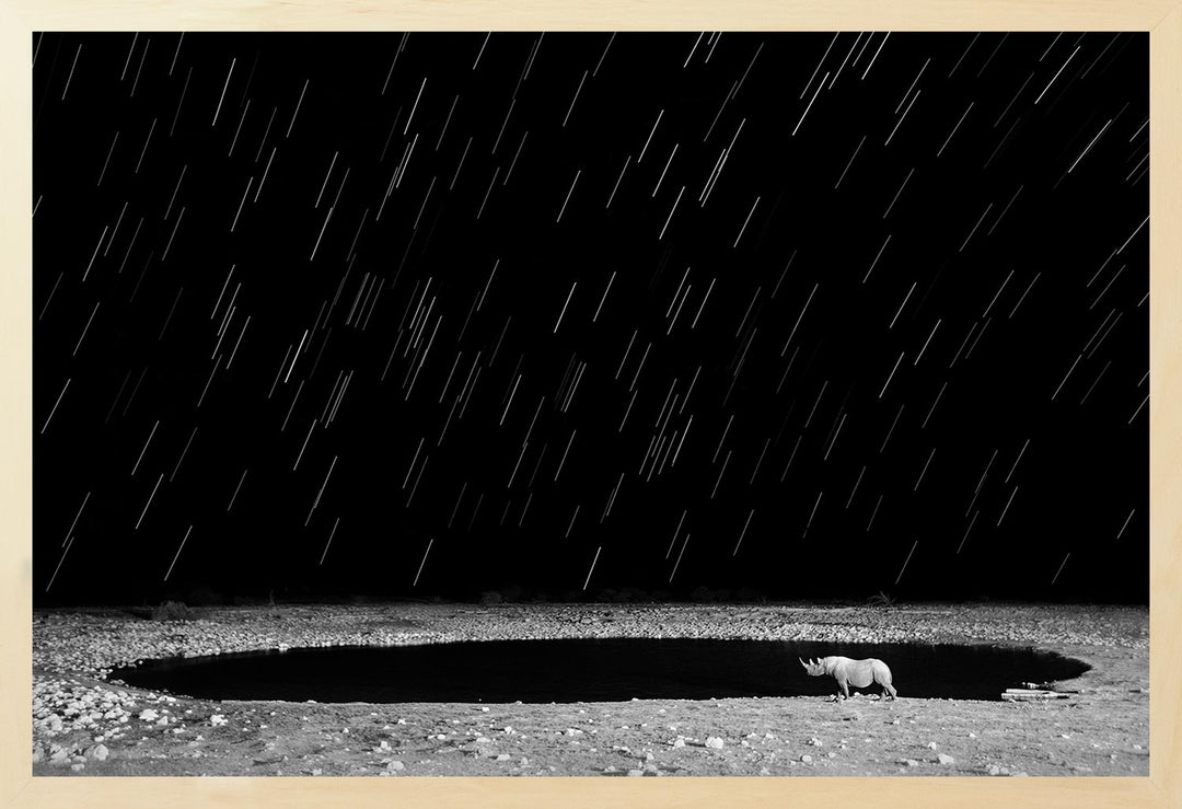 A black and white limited edition photograph of a rhino at the Okaukeujo watering hole in Namibia, with a long exposure star trail in the background.