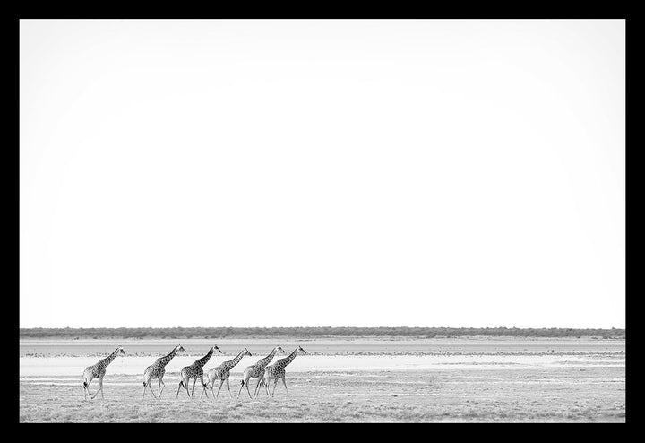 Marching to Namutoni - Limited Edition Photograph