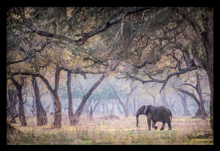 Old World (Colour) - Limited Edition Photograph