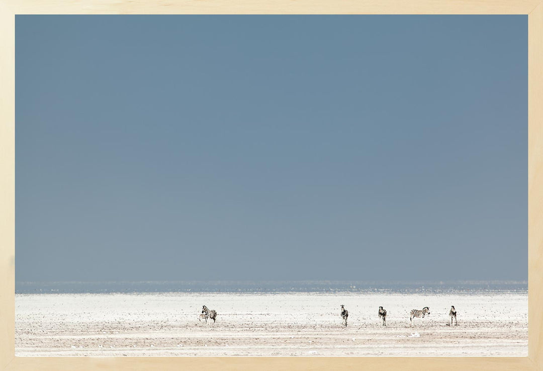A landscape photograph featuring a dry, flat plain with a blue sky and several zebra in the distance.