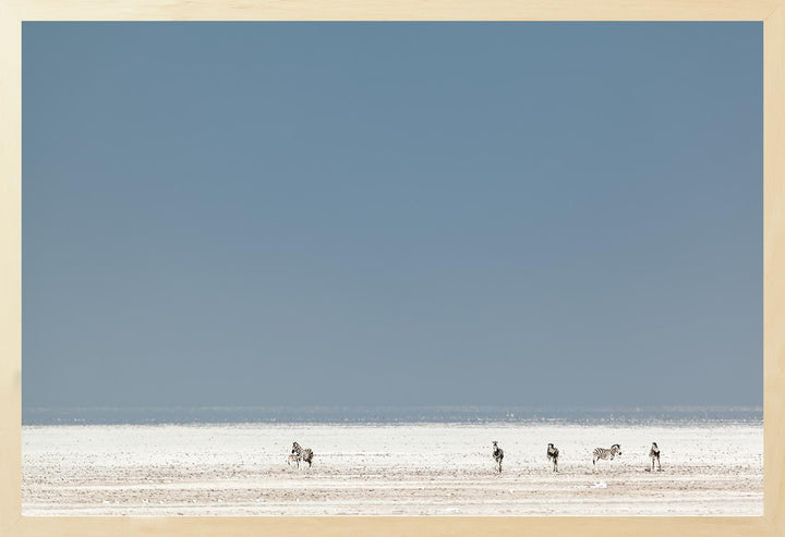 A landscape photograph featuring a dry, flat plain with a blue sky and several zebra in the distance.