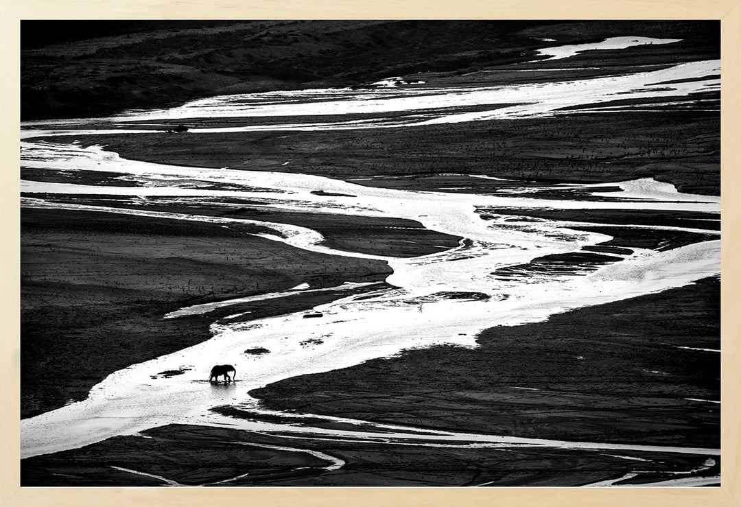 Black and white photograph of a lone elephant crossing a winding river, with the river appearing white against the darker landscape.