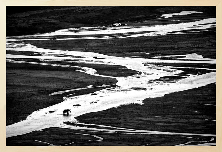Black and white photograph of a lone elephant crossing a winding river, with the river appearing white against the darker landscape.