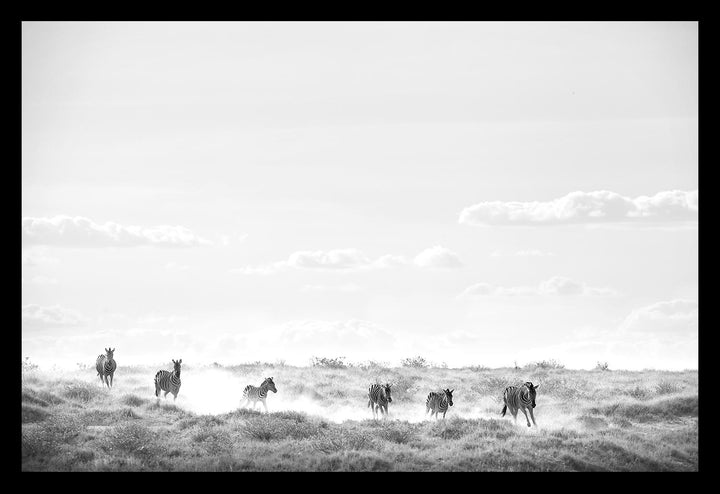 Rushing to Water - Limited Edition Photograph