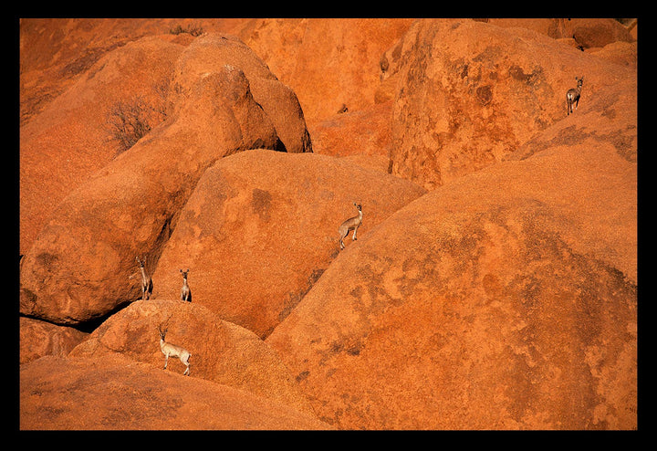 Tangerine Trail - Limited Edition Photograph