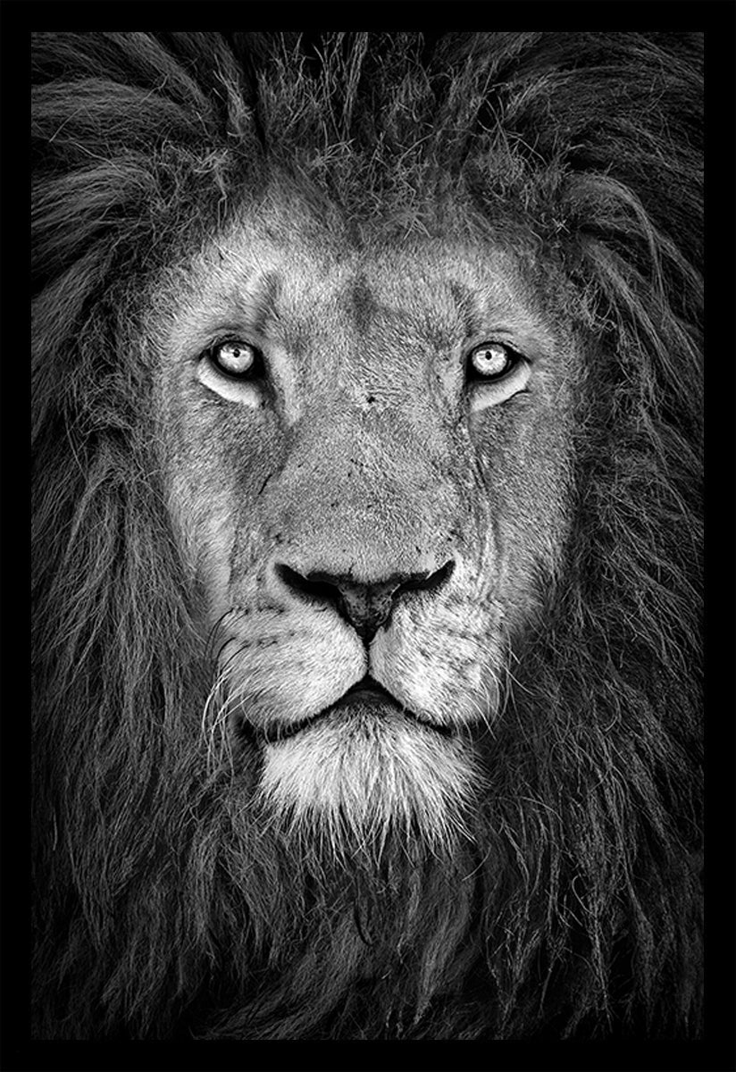 The Signature Collection – Rabinowitz Photography