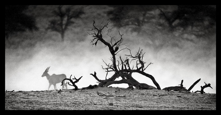 The Settling Dust - Limited Edition Photograph