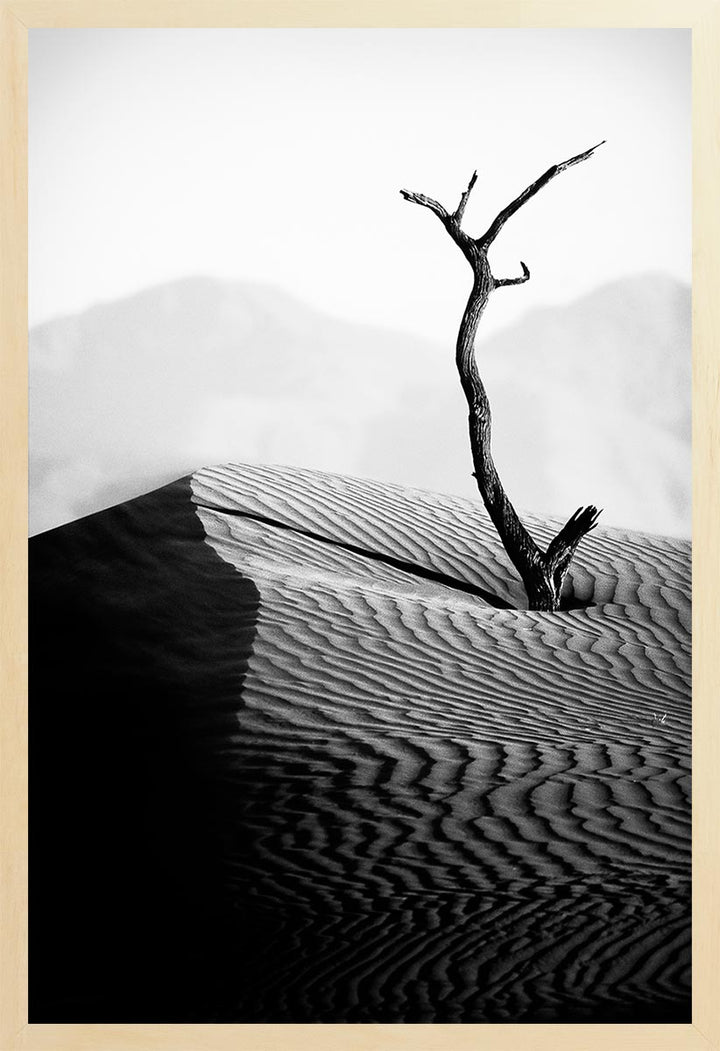A black and white photograph featuring a dead tree standing on a sand dune with a blurred landscape in the background.