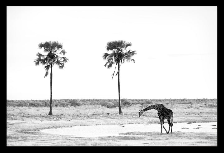 Twee Palms - Limited Edition Photograph