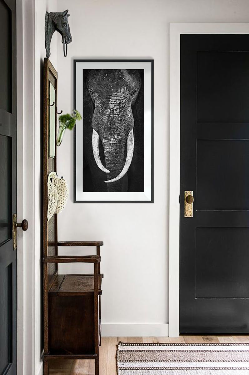Wayne Rabinowitz Wayne's Elephant - Limited Edition Photograph – Rabinowitz Photography