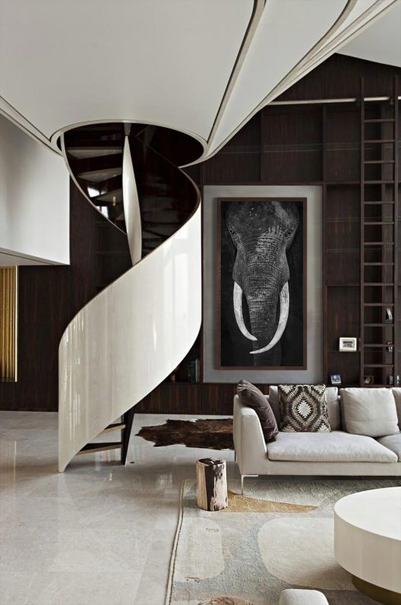 Wayne Rabinowitz Wayne's Elephant - Limited Edition Photograph – Rabinowitz Photography